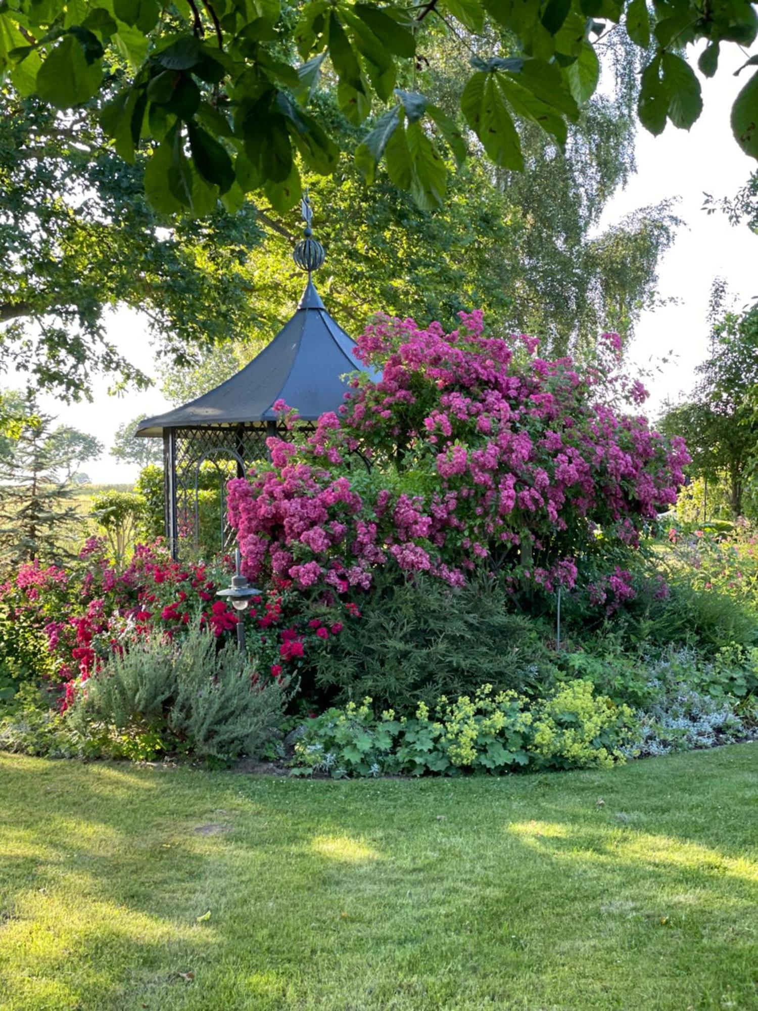 Villa Kronsteert Dahme  Exteriör bild